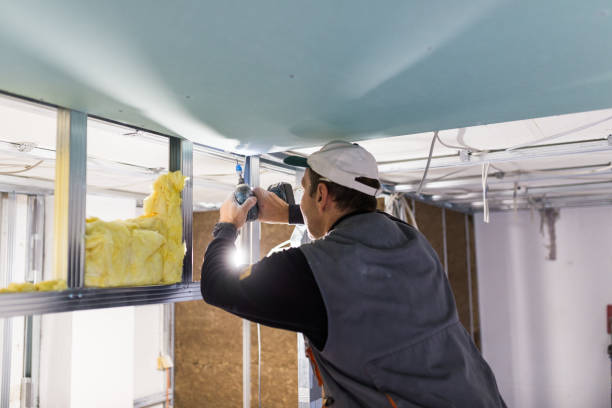Best Insulation Maintenance and Repair in Keystone, FL