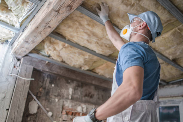 Best Insulation for Specific Applications in Keystone, FL