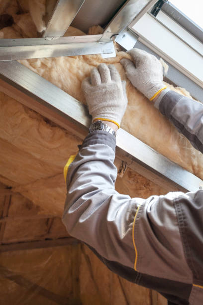Types of Insulation We Offer in Keystone, FL